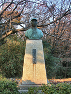31033874.jpg