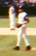 43145117.jpg