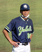 51853868.jpg