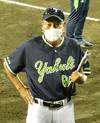 81183869.jpg
